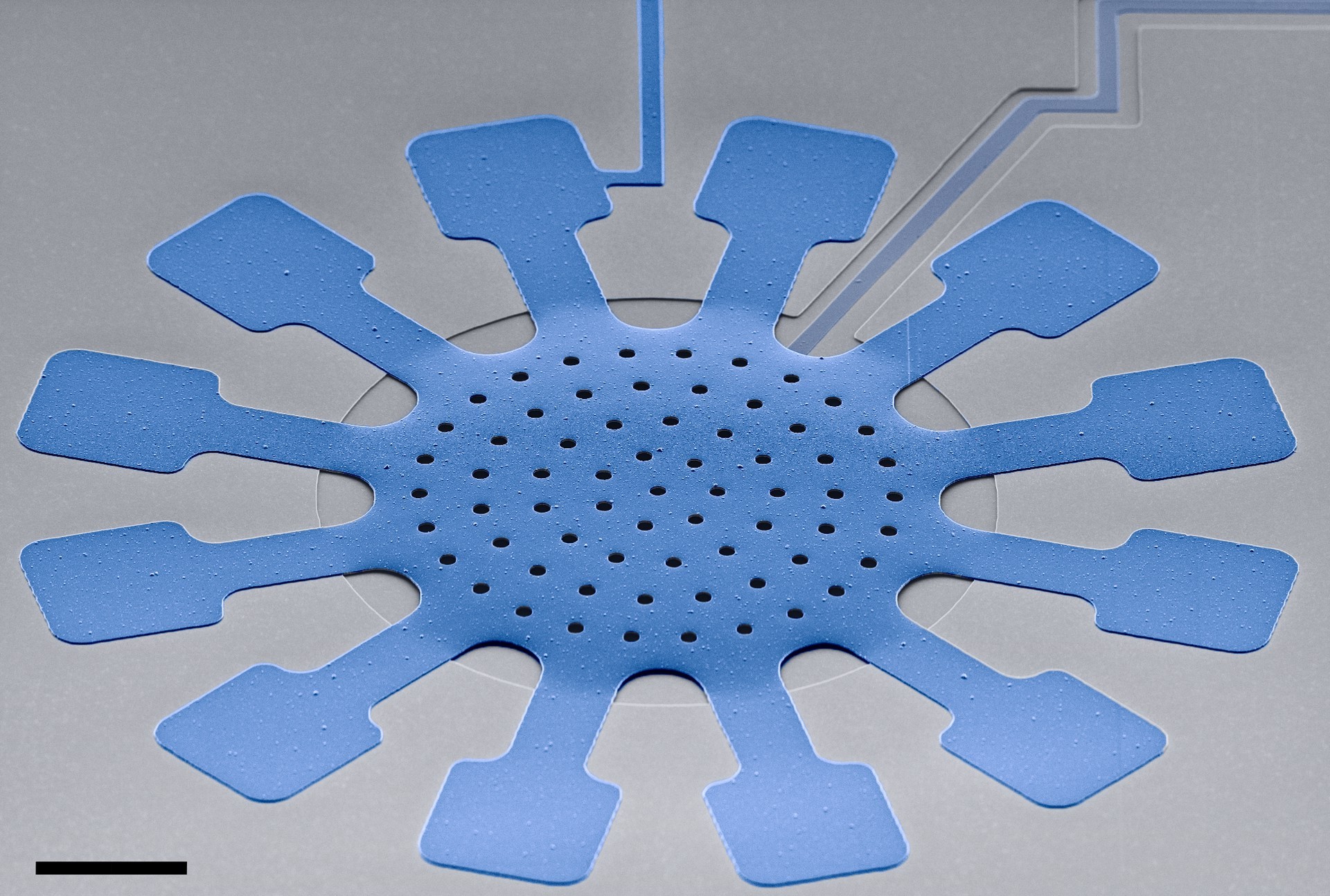 The Quest for Ultra-Low Dissipation: From Self-Organized Light to Collective Quantum Drums